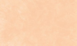 Decorazza STUCCO VENEZIANO / Цвет #SV  10-61